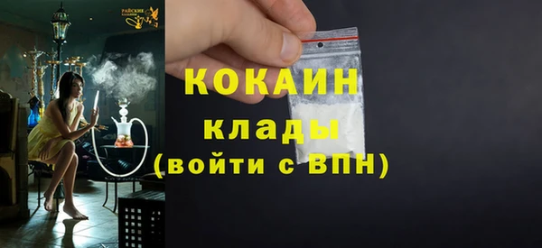 сатива Алзамай