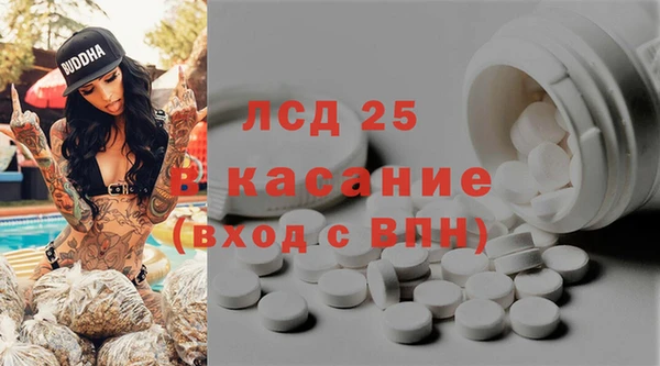 сатива Алзамай
