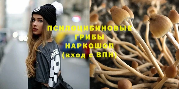 сатива Алзамай