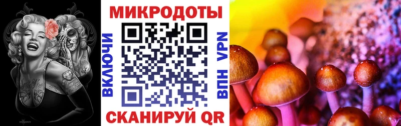 Псилоцибиновые грибы прущие грибы  Карабаш 